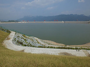 快色免费下载｜免费下载风云：版权守护者之旅-2