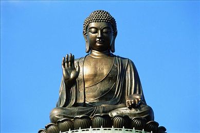 荒野求生21天不打码｜荒野求生挑战极限，21天真实生存考验智慧与耐心-4