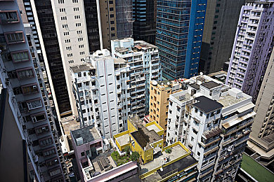 翁与莹回乡树林激情｜自然的旋律，情感的共鸣——回乡树林的激情之旅-2