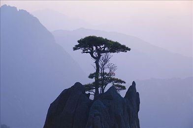 tom叔叔温馨提醒和友情提醒｜资深编辑Tom叔叔温馨提醒：游戏攻略助力玩家少走弯路，畅享奇幻冒险之旅-2