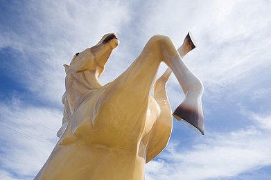 九一制作厂白晶晶个人资料｜幕后匠心，白晶晶揭秘影视制作魅力之路-4
