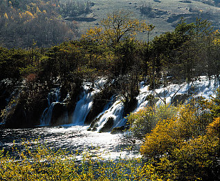 蓬莱仙山花样年华｜蓬莱仙山青春盛宴：花样年华活动盛况空前，传承创新文化魅力-4