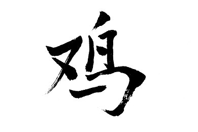 91网站｜数字时代的社交新趋势与挑战探索-2