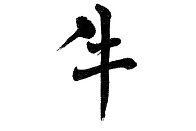 亲近相轩亲近相尾｜轩尾相连，温馨相伴：构建和谐人生之旅-4