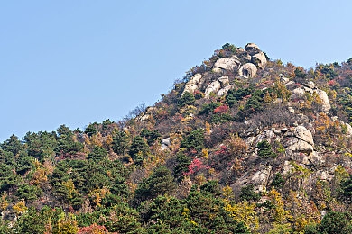 免费人成｜揭秘“免费人成”：开启个人成长财富之门，解锁全新生活方式-2