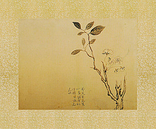 在线欧美av／畅游影视海洋，探索欧美视听盛宴：揭秘热门在线影视平台魅力-3