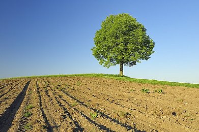宝宝腿张大点我进不去：新手爸爸与宝宝温馨互动引热议，呼吁完善母婴设施-3