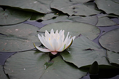 香蕉钻洞视频｜香蕉心洞奇遇记-2