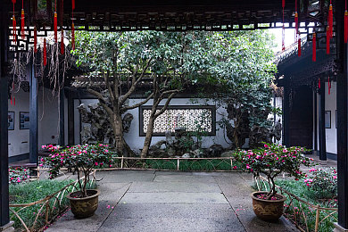 草莓麻豆蜜桃绿巨人／奇幻绿巨人冒险，探索人性光辉之旅-3