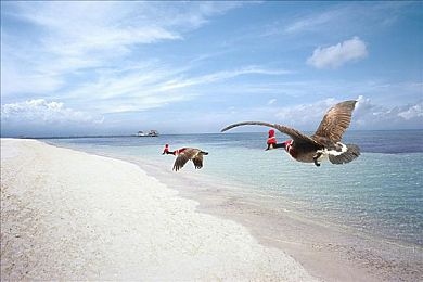 9·1安装／智能家居浪潮中的安全与便捷双重奏-3