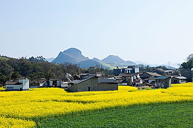 魅影直播5.3最新版特色：魅影直播5.3新升级：界面焕新功能丰富，直播体验再升级，畅享直播新乐趣-2