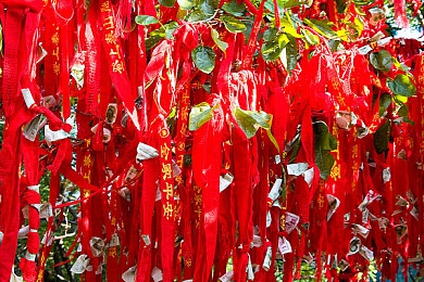 黄色网破解版｜内容付费困境中的安全隐患与用户选择-3