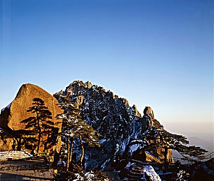 福建大菠萝｜“金果飘香，福建大菠萝：甜蜜事业，丰收画卷”-2