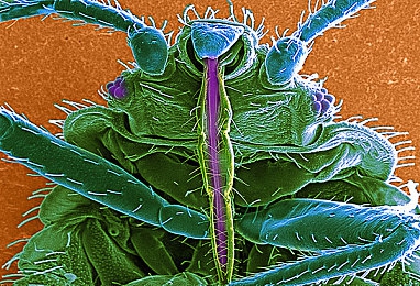 樱桃视频最新一二三入口／樱桃视频全新三重入口亮相，便捷体验引热议，打造优质视频新篇章-4