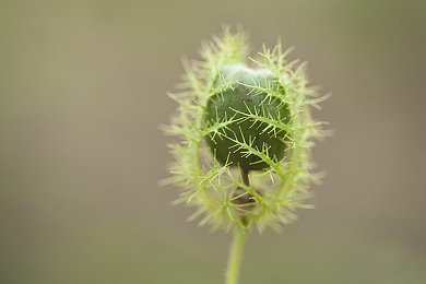 天美MV董小宛最新／穿越时空的艺术交响：董小宛传奇，古今交融，视觉盛宴再现-3