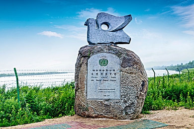 99er视频：短视频利器，99秒吸睛营销之旅-4