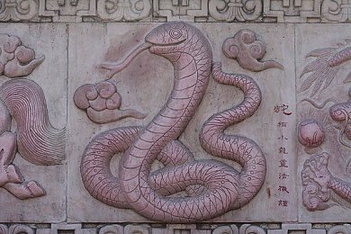 俄罗斯12—14 交在线看：直播盛宴：透视俄罗斯交会，国际风云变幻-1