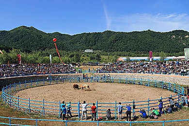 国语乱伦｜“教师与学生乱伦丑闻：师德沦丧，教育改革警钟长鸣”-3