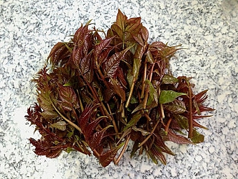 一脱二膜三叉四强五注射｜揭秘奇幻冒险：《一脱二膜三叉四强五注射》五大神秘元素攻略助你畅游游戏世界-5
