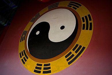 17C免费吃瓜｜瓜果盛宴，趣味互动，全民参与-3
