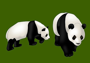 亲近相轩亲近相尾｜轩尾相连，温馨相伴：构建和谐人生之旅-5