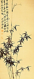 色色的APP｜揭秘：匿名社交新宠“色色的APP”，功能热议引发社会关注-4