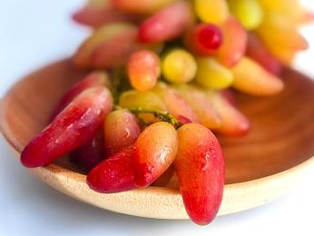 芭乐视app下载iOS安卓｜芭乐影视，双平台畅享，海量精彩，一触即达-4