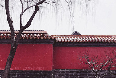 麻豆精东天美国产传媒｜文化传承之旅，探索全球创新视野-2