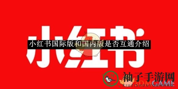 揭秘：小红书国际版与国内版无法互通，跨国互动成谜