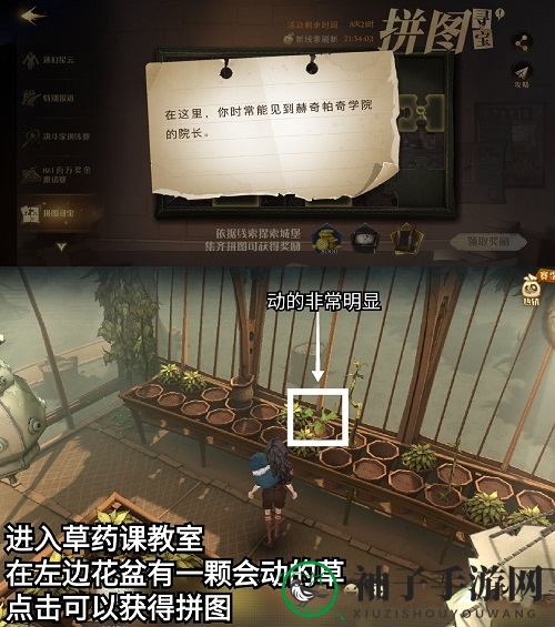 哈利波特魔法觉醒拼图寻宝：揭秘10.11碎片之谜，三线索引你探险