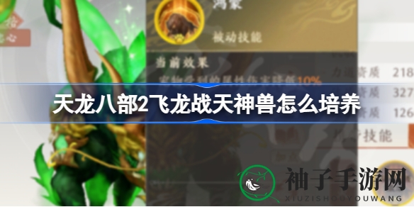 神兽养成攻略大揭秘：天龙八部2飞龙战天神兽培育全术