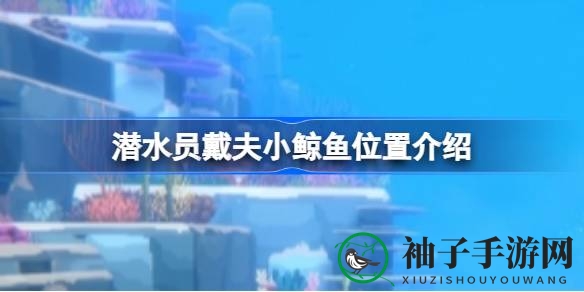 戴夫深海寻鲸记：揭秘神秘小鲸鱼藏匿之谜