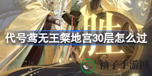 《代号鸢》无王粲攻略：揭秘地宫30层通关技巧，轻松驾驭挑战