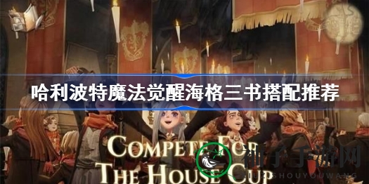 哈利波特魔法觉醒攻略：揭秘海格三书卡组搭配技巧，助你轻松上分