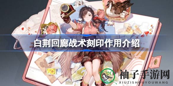 揭秘白荆回廊战术刻印：新手必看，提升队伍实力的关键攻略