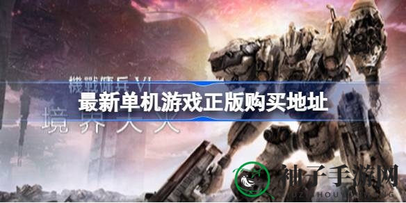 解锁单机游戏正版购买攻略：多平台任选，畅游游戏世界