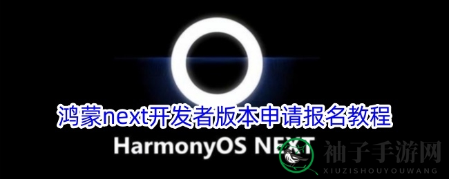鸿蒙Next内测秘籍：轻松加入开发者行列，率先体验智能生活新篇章
