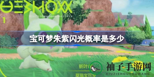 探寻朱紫秘境：揭秘宝可梦闪光概率攻略大揭秘