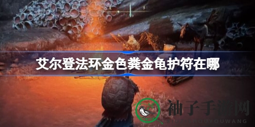 艾尔登法环攻略：揭秘金色粪金龟护符藏匿之地及获取方法