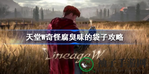 天堂W风木秘境探险攻略：神秘腐臭袋全解析，宝藏等你来寻