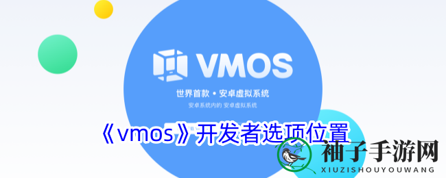 《vmos》开发者选项位置