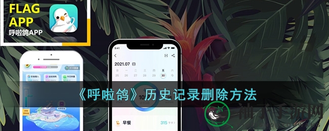 手游网揭秘！呼啦鸽轻松一键清除历史记录，手机空间清爽重现