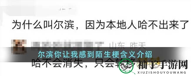 哈尔滨你让我感到陌生梗含义介绍