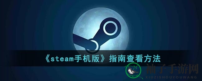《steam手机版》指南查看方法