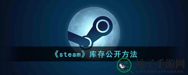 Steam库存揭秘：隐私开关，一触即达，安全先行