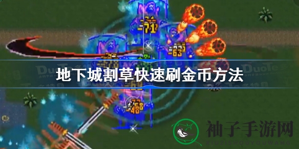 《地下城割草》轻松刷金币攻略：三大武器搭配技巧，快速获取海量金币