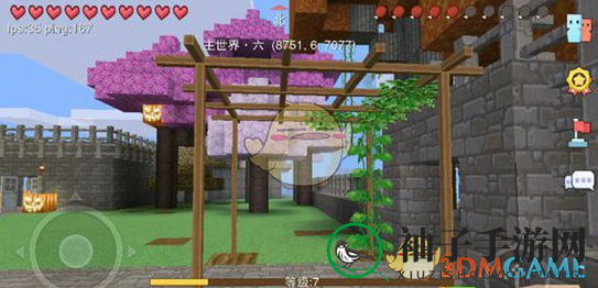 《奶块》葡萄种植步骤讲解