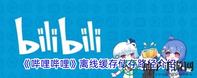 揭秘B站离线缓存：轻松找到你的视频宝藏