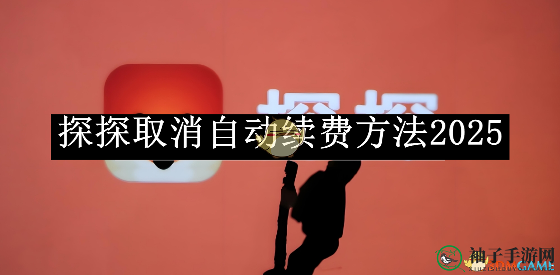 《探探》取消自动续费方法2025