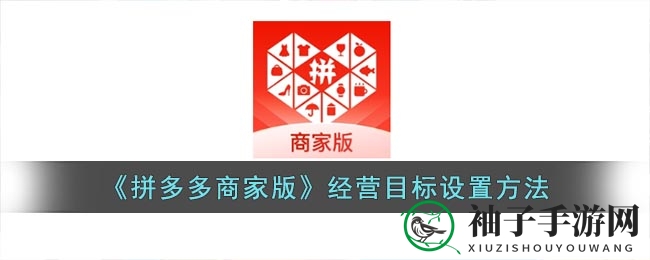 拼多多商家版教程：轻松设定月度销售目标，提升数据监控效率